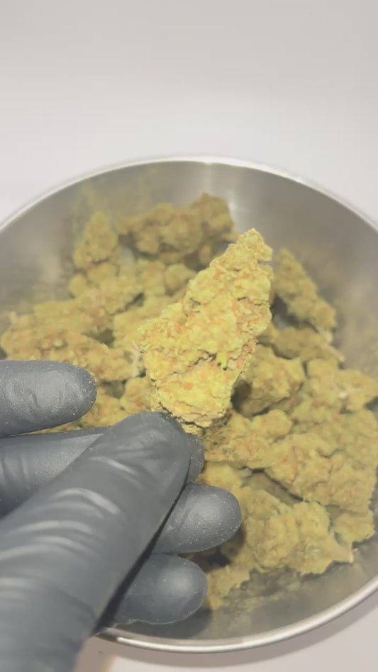 Lemon Haze Greenhouse